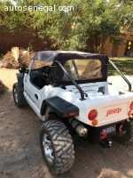 buggy jeep gt cruiser 800