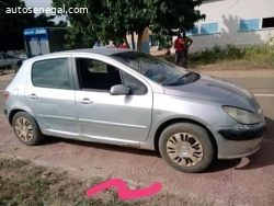 Peugeot  307