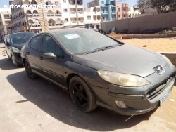 PEUGEOT 407